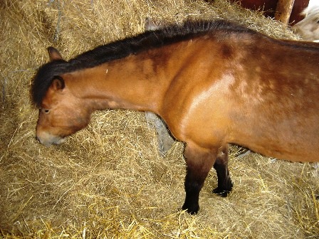 Jana%20095.jpg