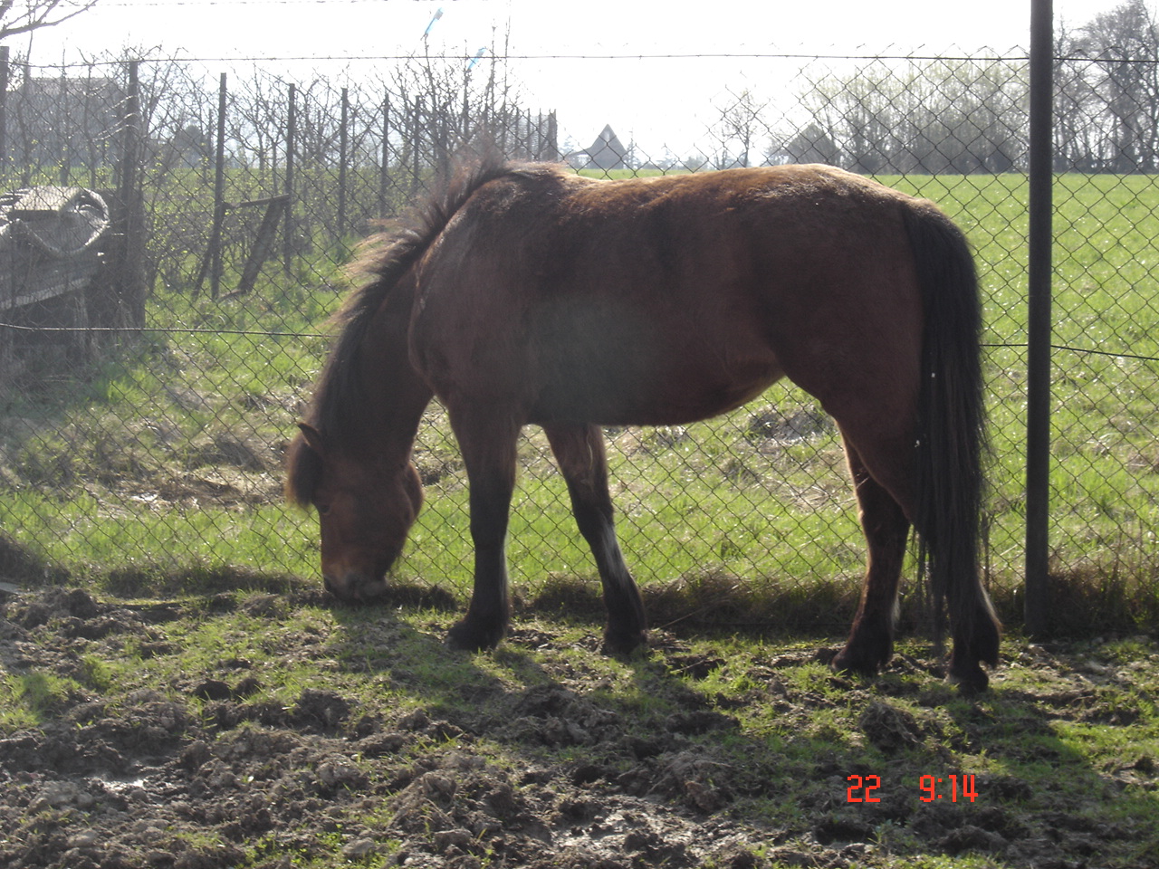 DSC02694.JPG