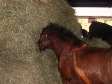 PICT0076.jpg