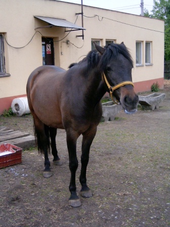 HPIM2046.jpg
