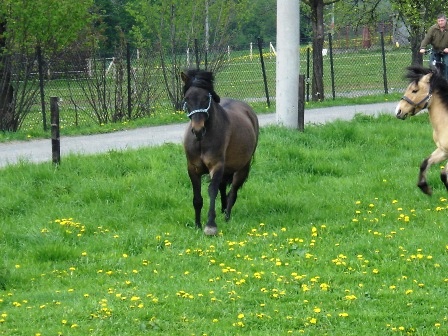 Jana%20121.jpg