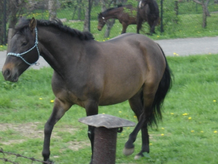 Jana%20122.jpg