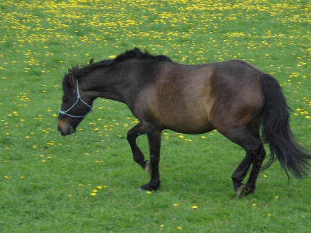 Jana%20126.jpg