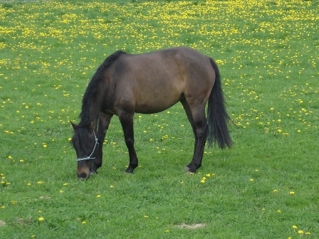 Jana%20127.jpg